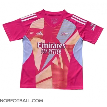 Billige Fotballdrakt Arsenal Keeper Replika Bortedrakt 2024-25 Kortermet